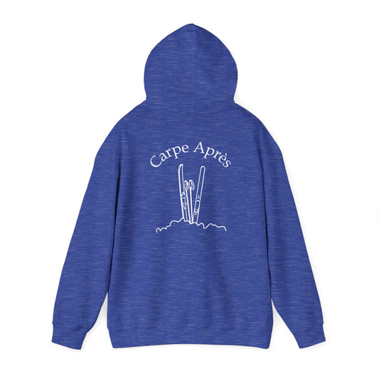 Carpe Après - Ski (OG) - Hoodie (Small graphic on front, large graphic on back)